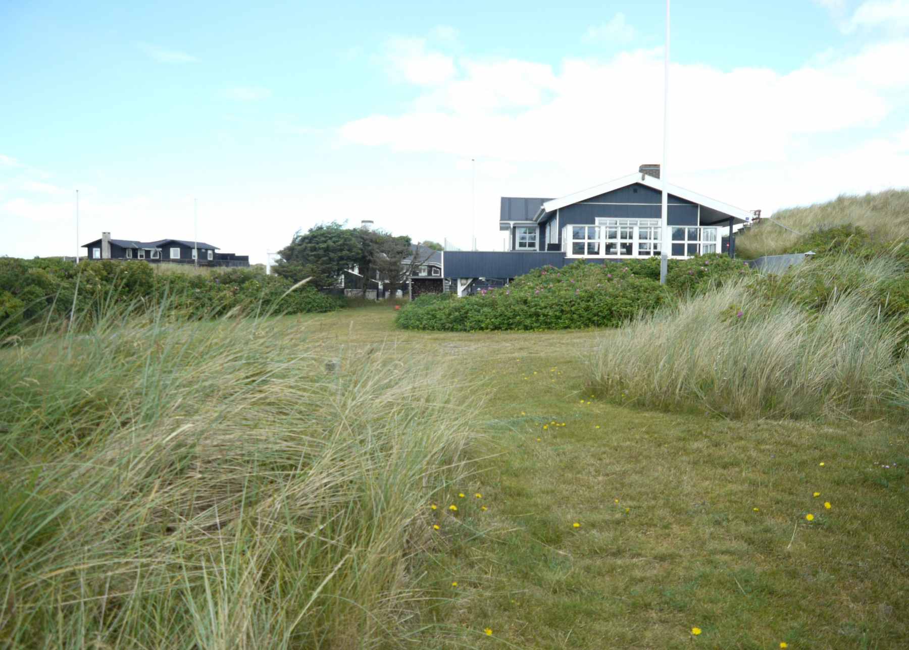 Dines Bogø - 