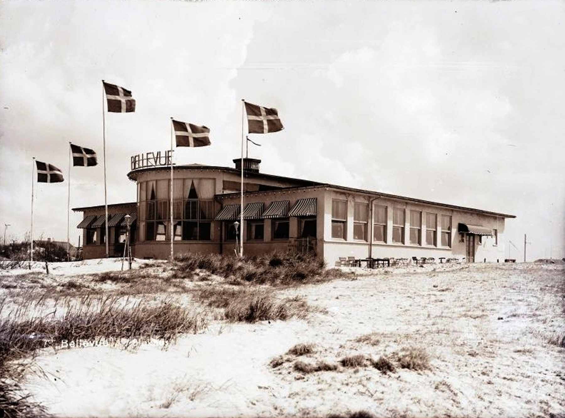 Dines Bogø - 
