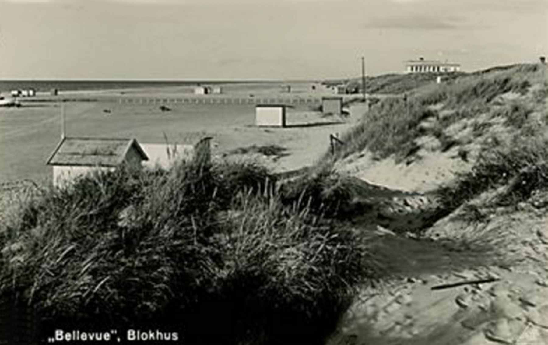 Dines Bogø - 