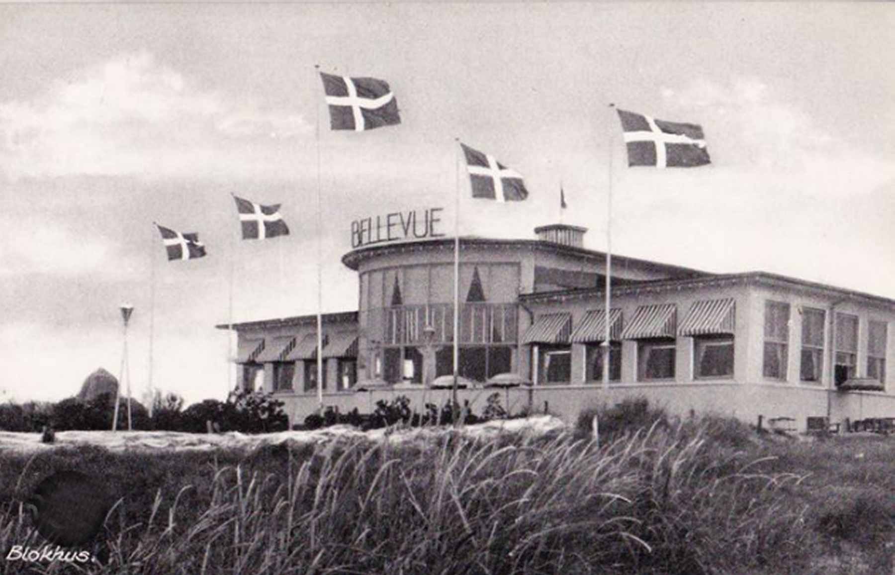 Dines Bogø - 