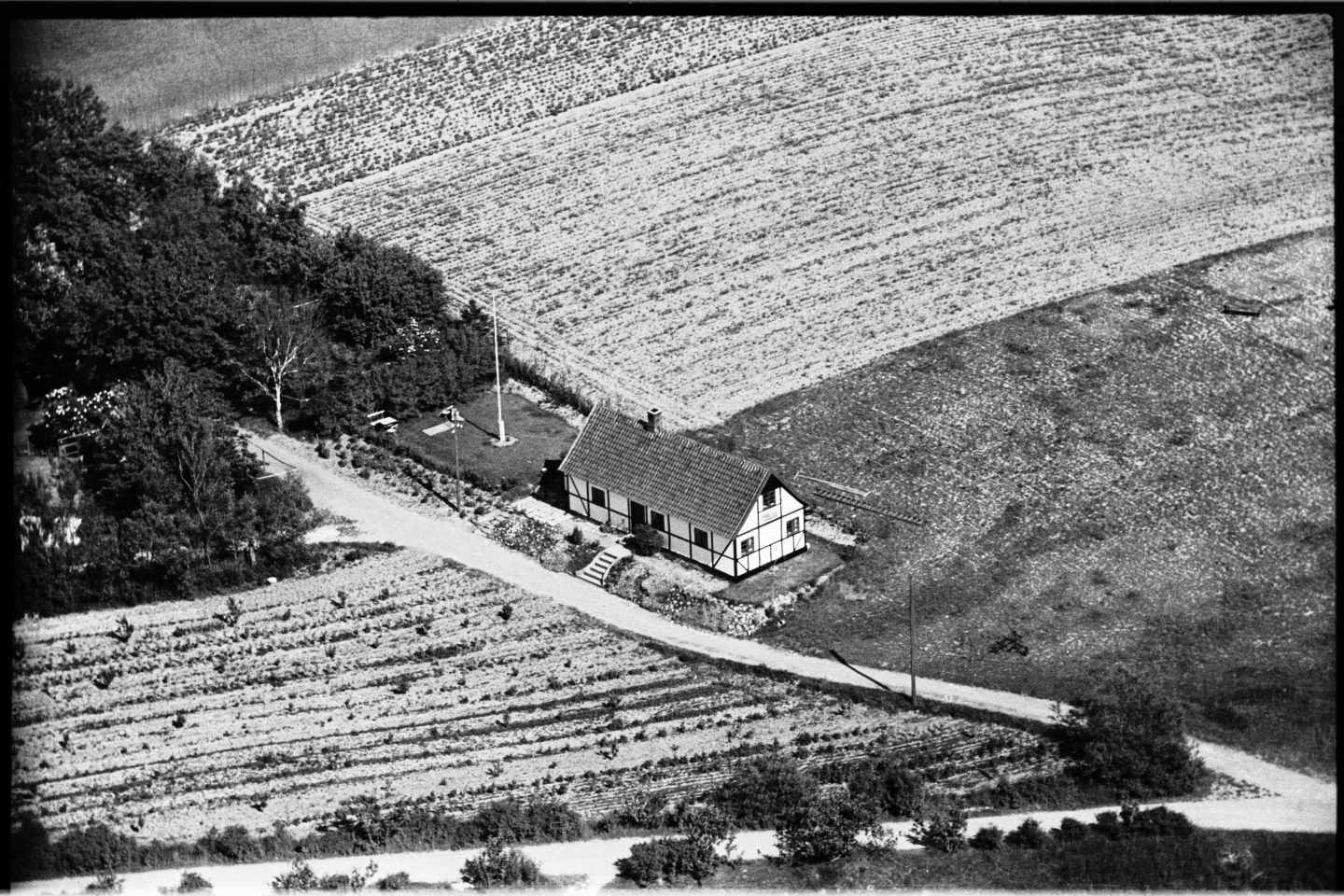 Dines Bogø - Hundested - Luftfoto - Det Kgl. Bibliotek