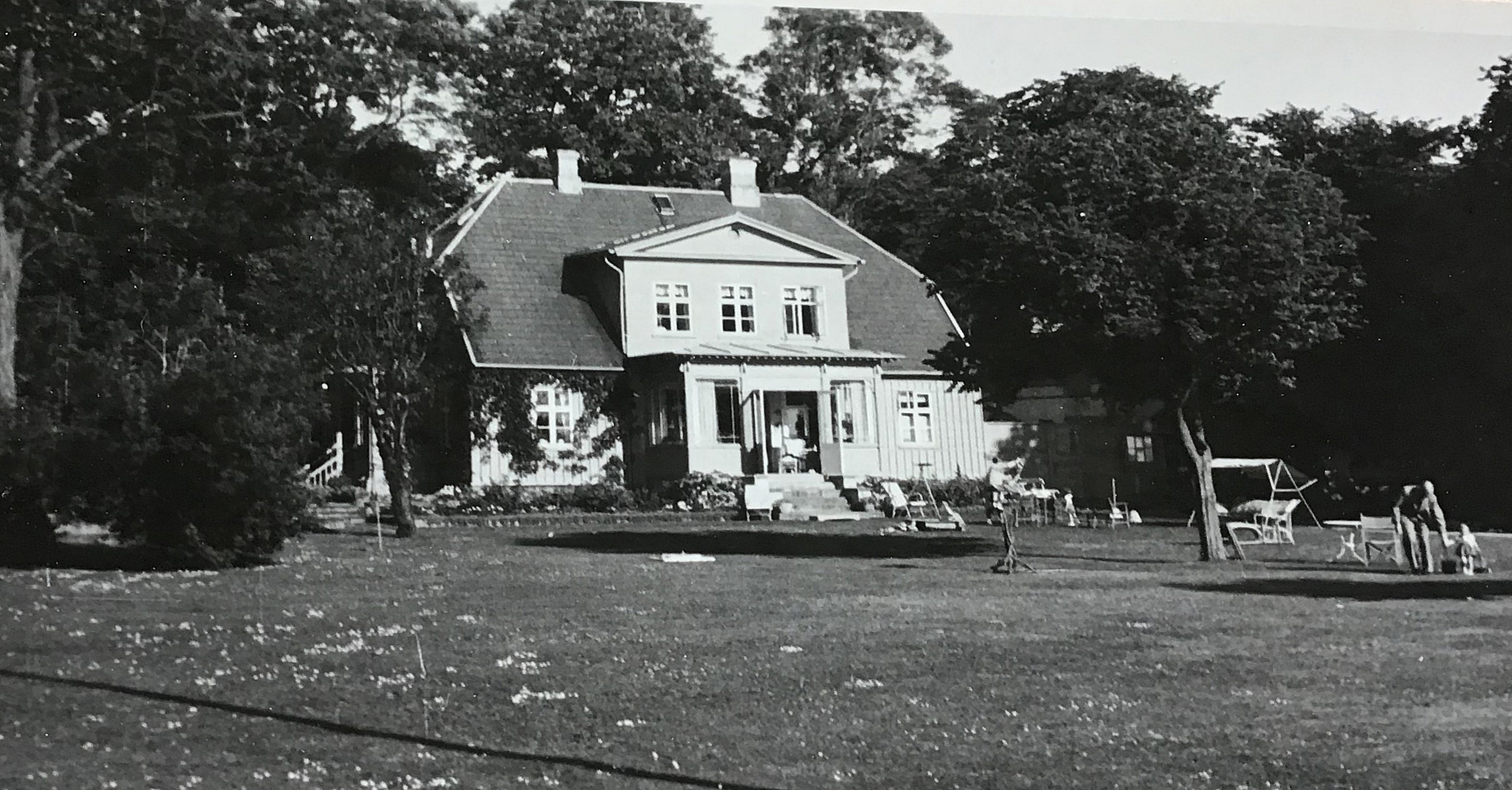 Dines Bogø